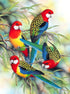 Colorful Parrots on Trees